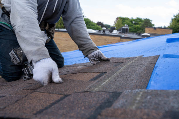 Best Emergency Roof Repair  in Rosedale, MS