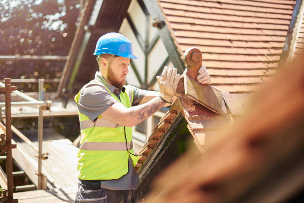 Best New Roof Installation  in Rosedale, MS